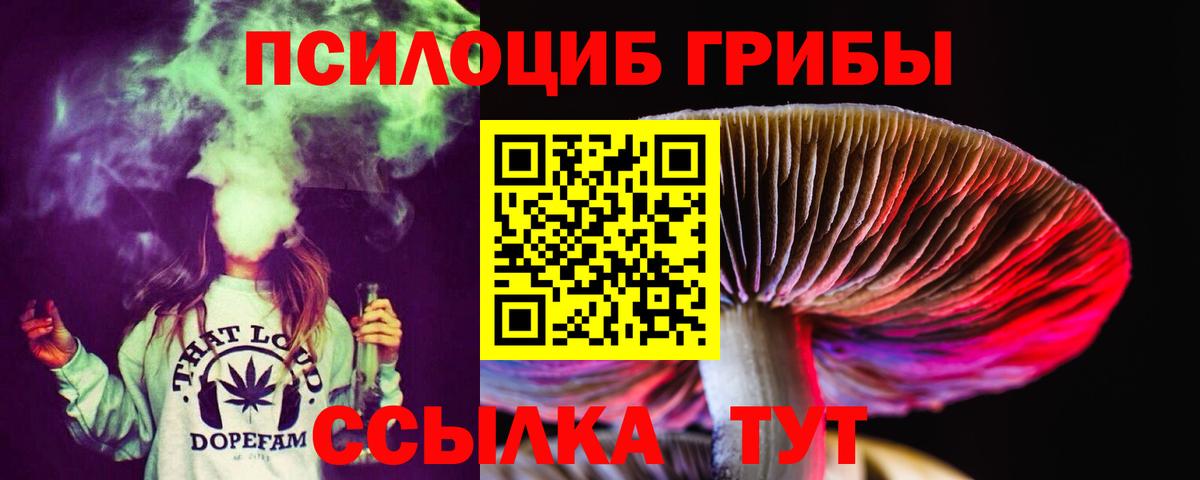 Псилоцибиновые грибы Psilocybe  сколько стоит  Москва  Вход с VPN 